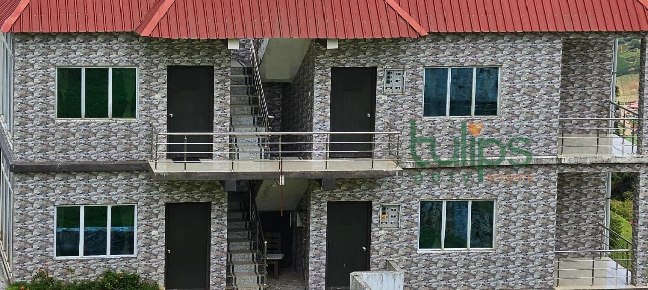 אוטי Tulips Village Resorts מראה חיצוני תמונה